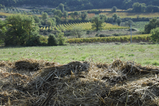 Compost bio-dynamique