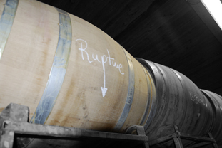 La Rupture en fermentation